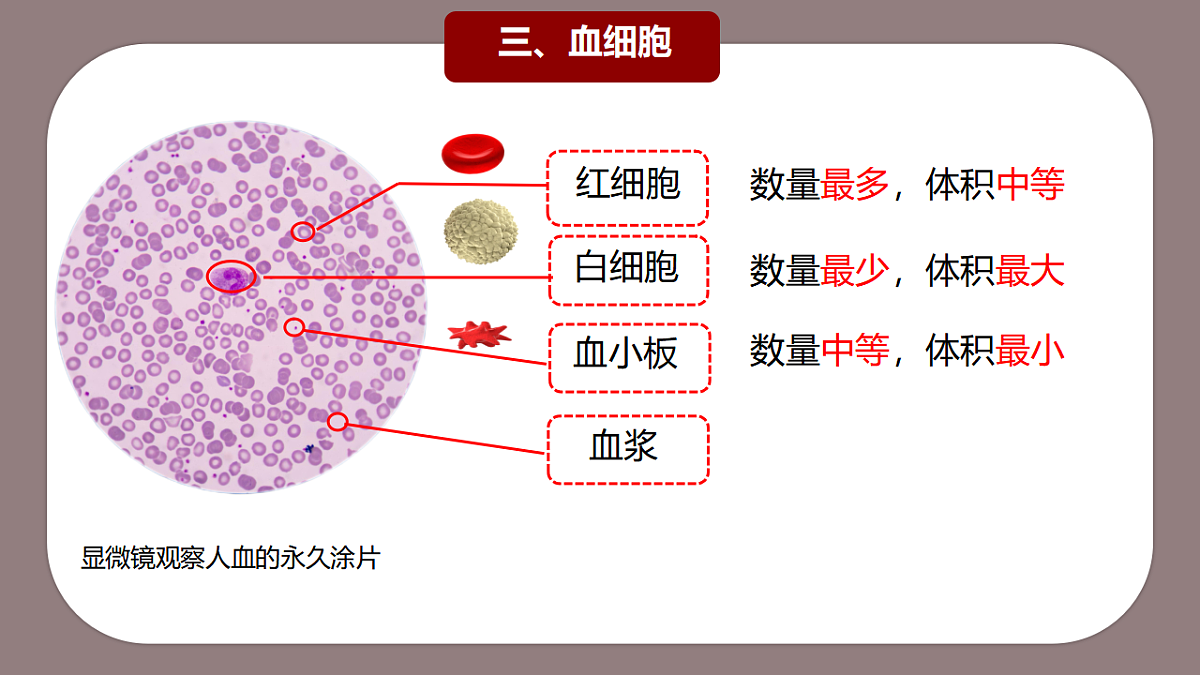 17966136第4页