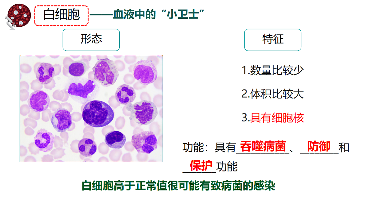 17966136第7页