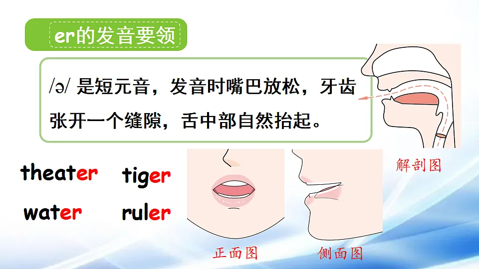 17967161第6页