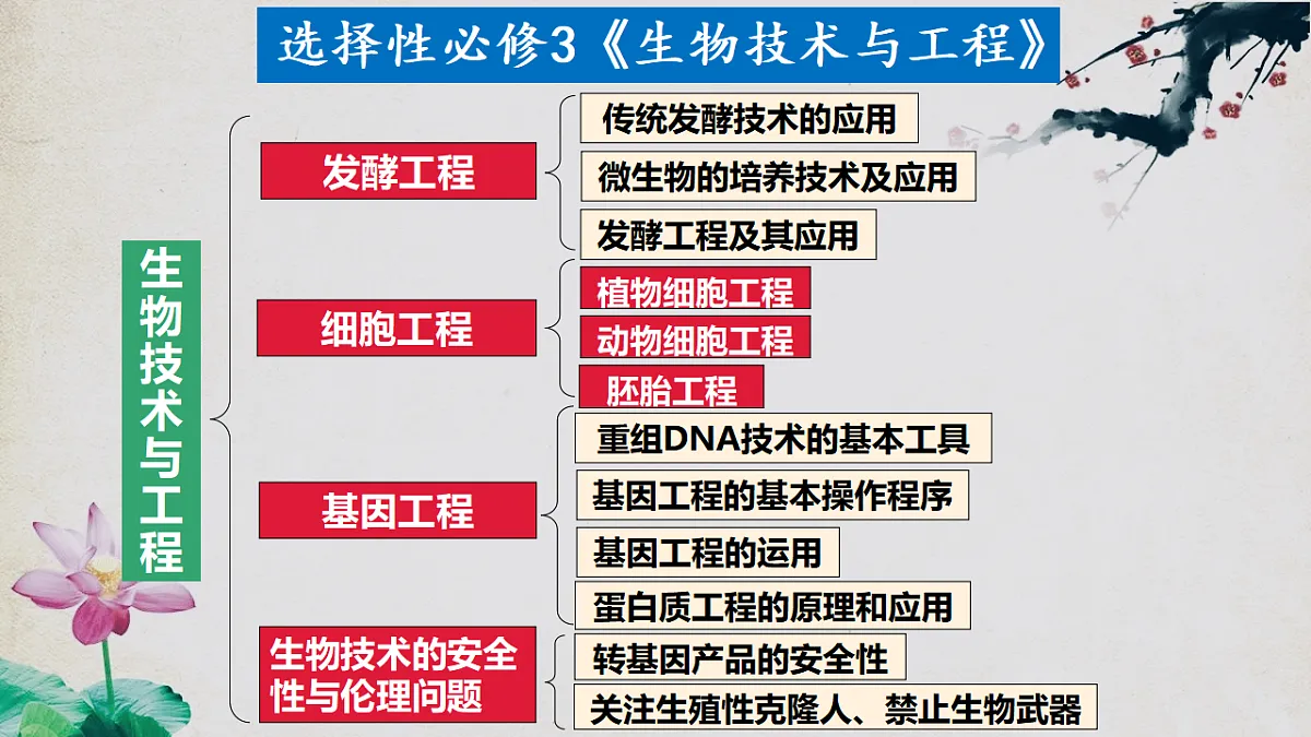 17967239第1页