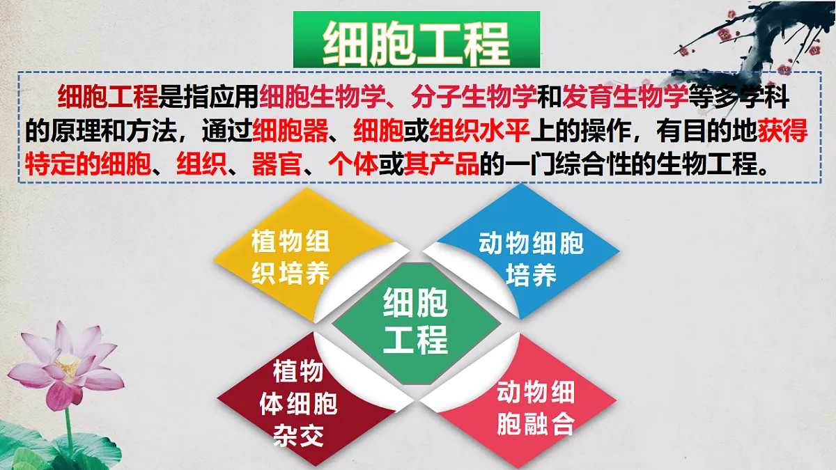 17967239第2页