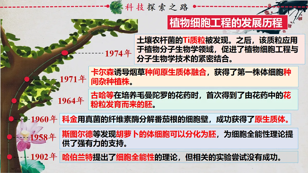 17967239第3页