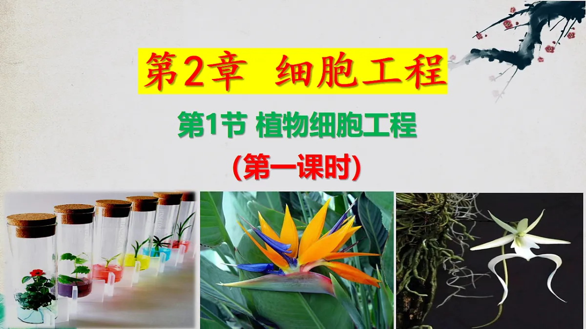 17967239第4页