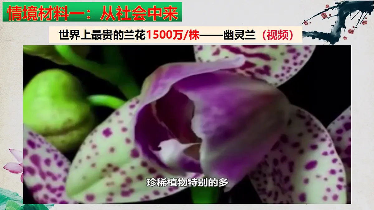 17967239第7页