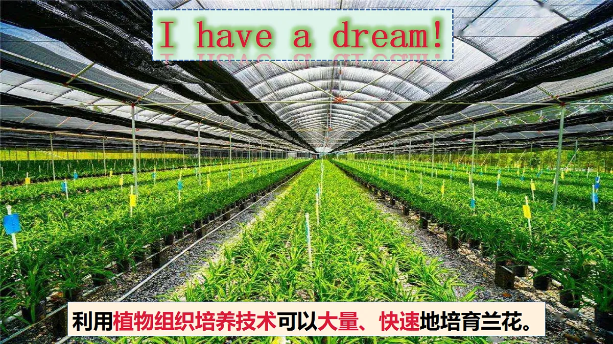 17967239第8页