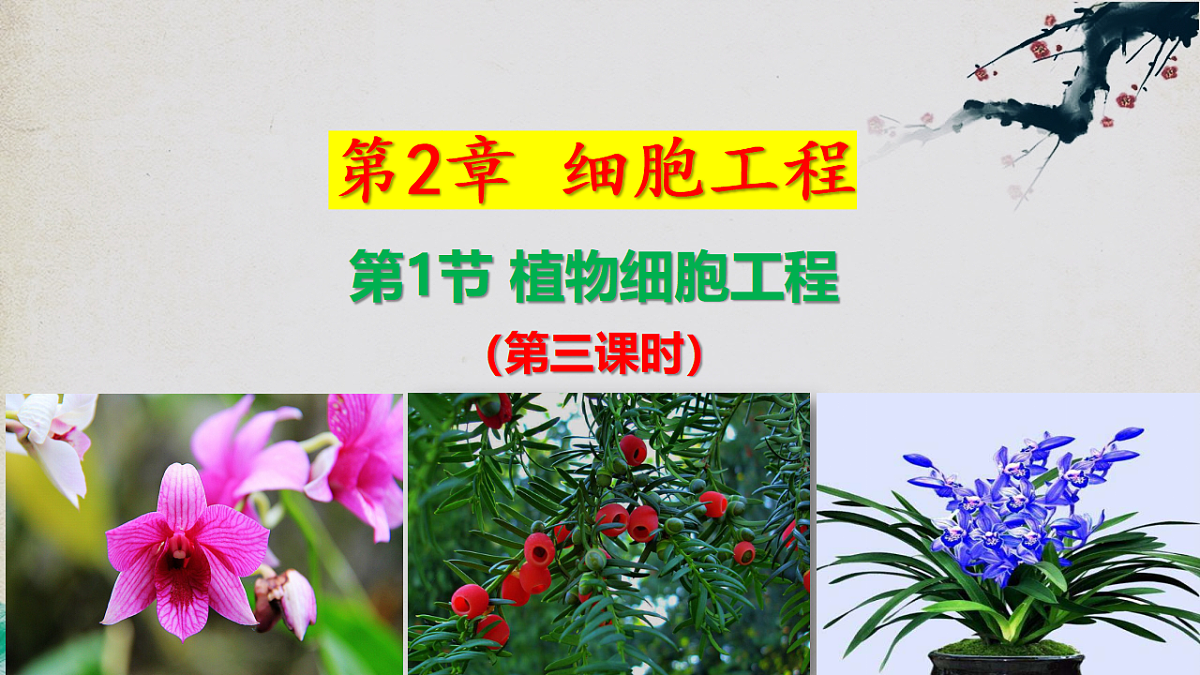 17967240第1页