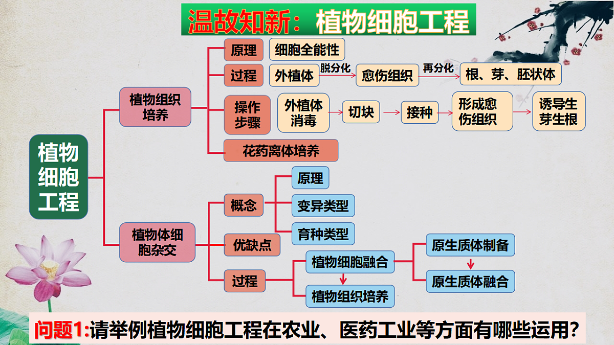 17967240第3页