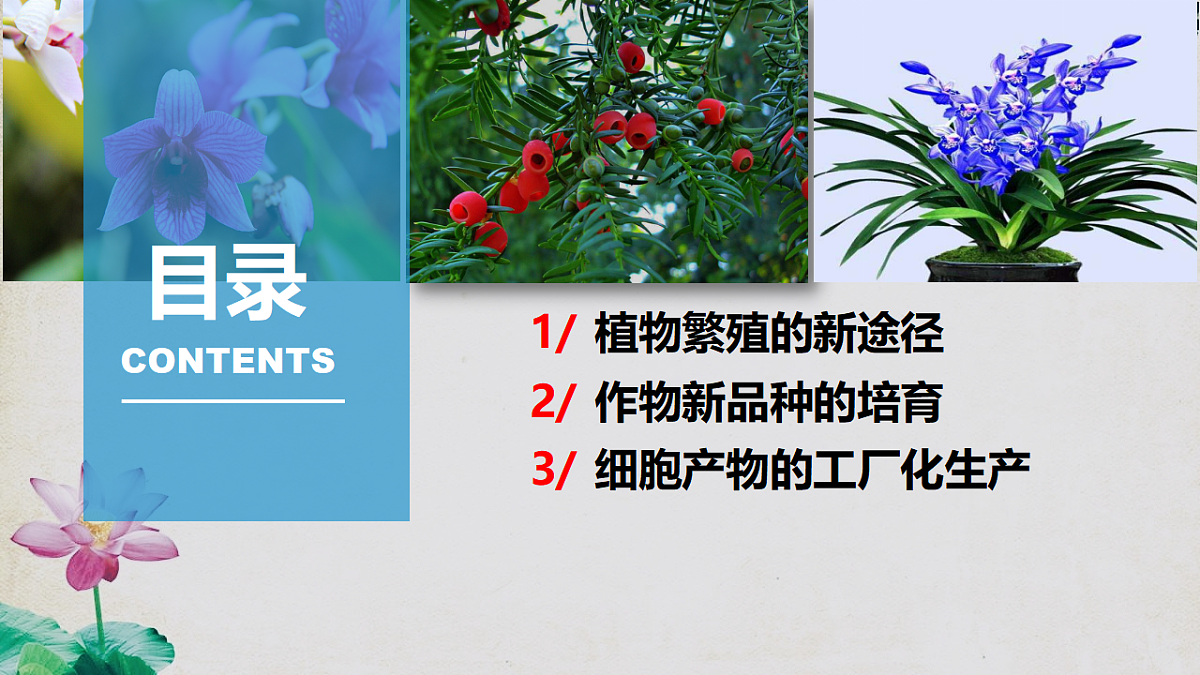 17967240第4页
