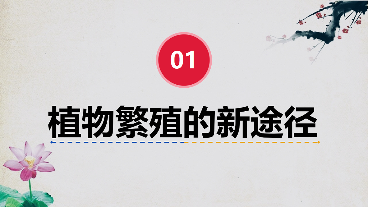17967240第5页