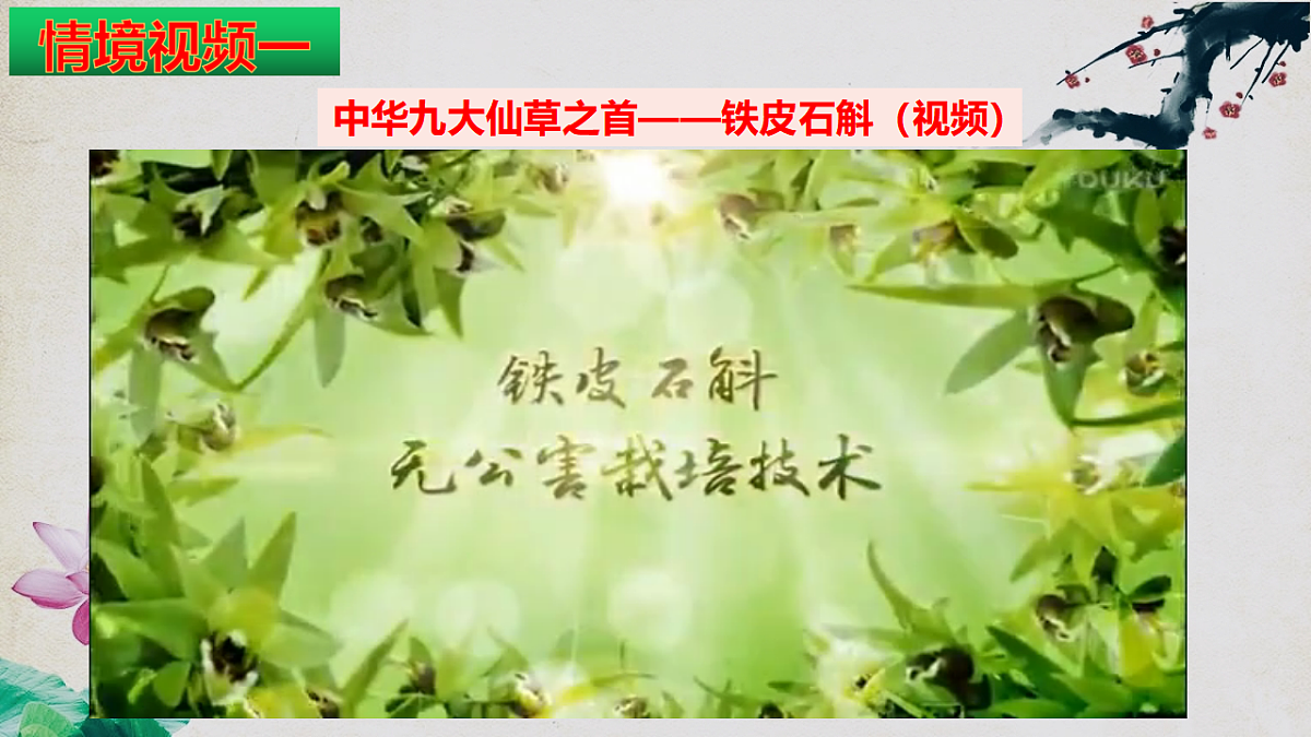 17967240第7页