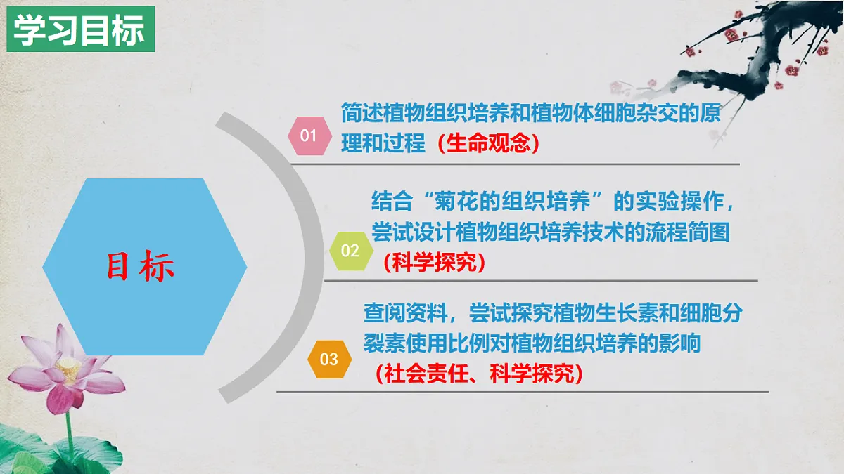 17967241第2页