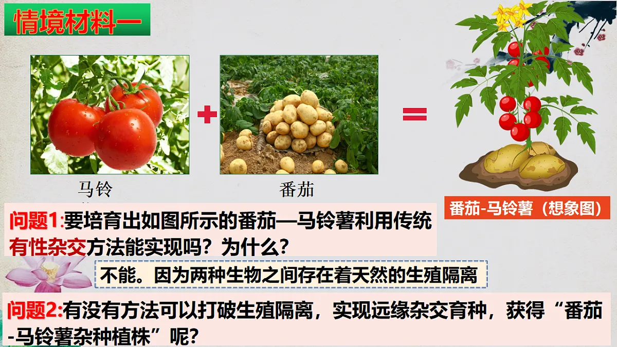 17967241第3页