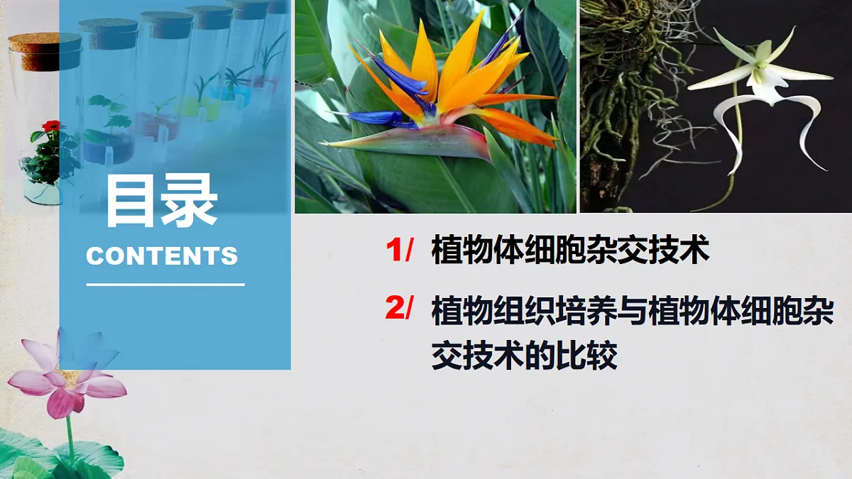 17967241第4页