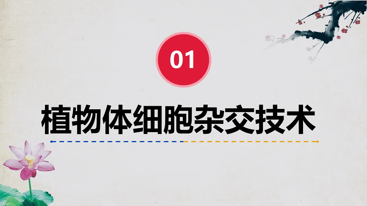 17967241第5页