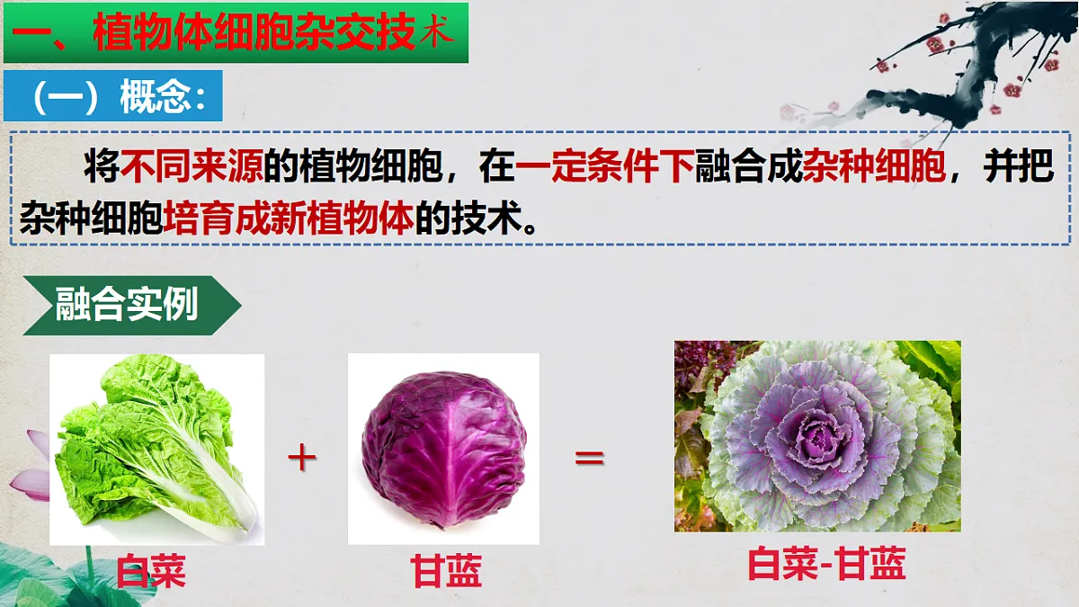 17967241第6页