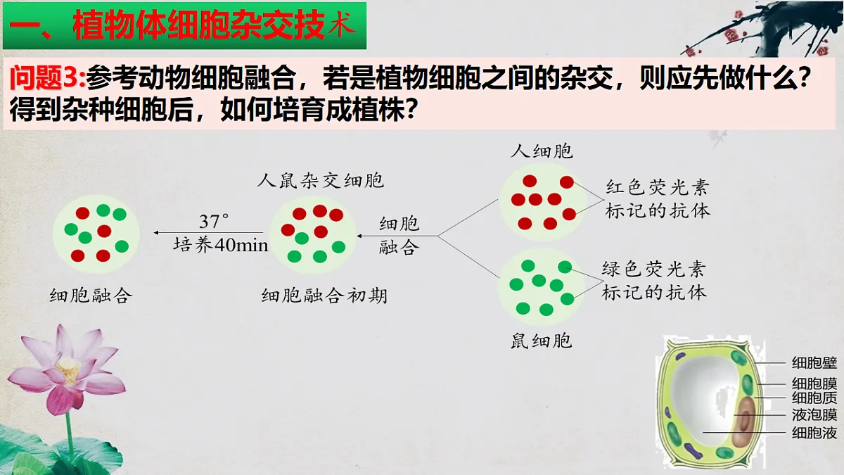 17967241第7页