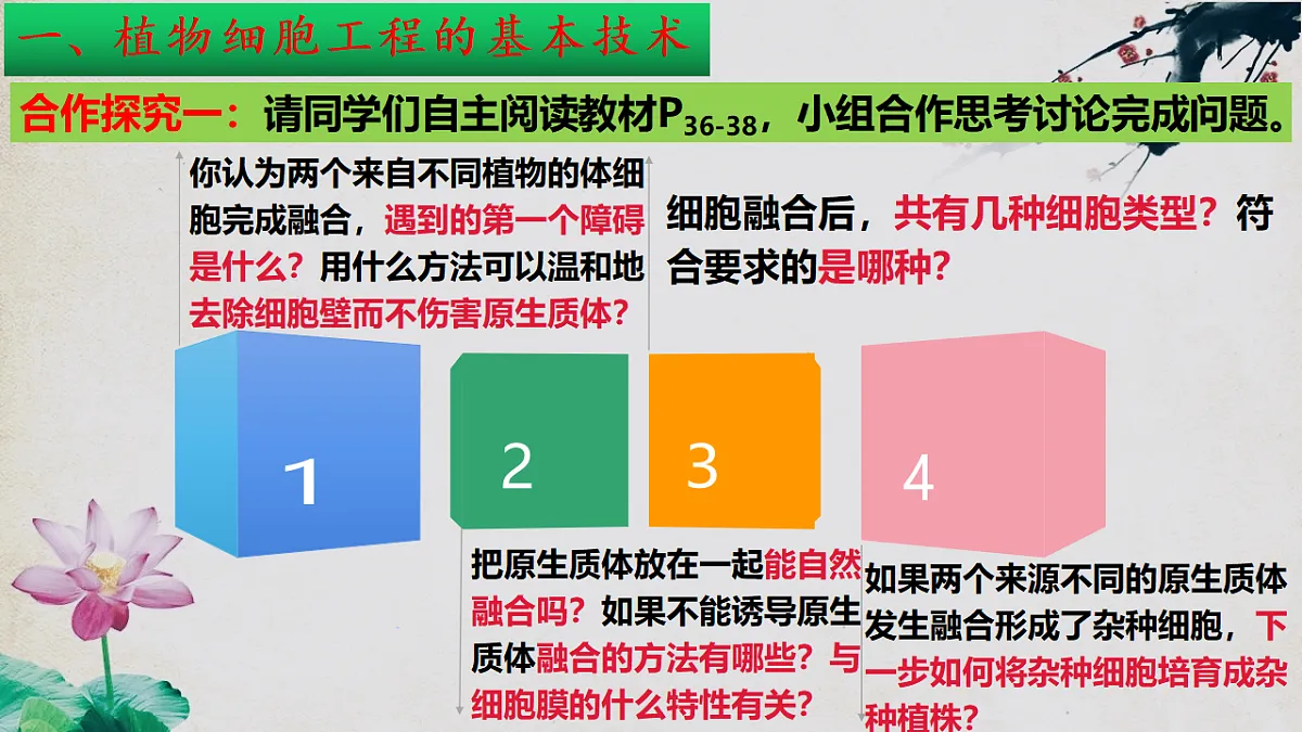 17967241第8页