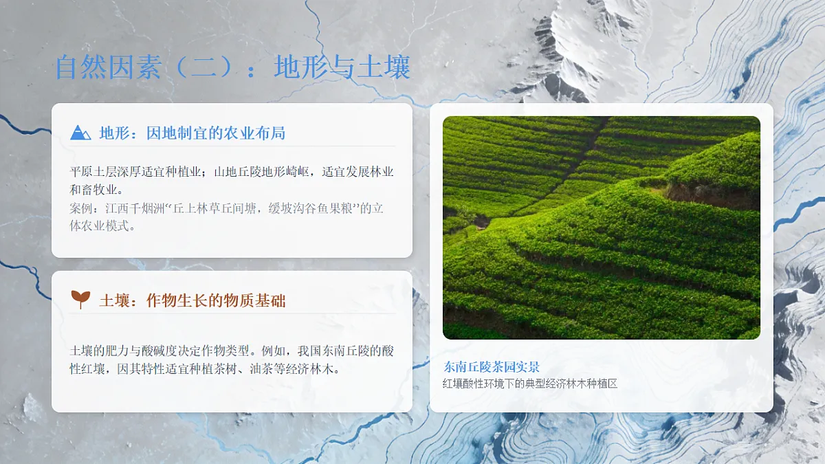 17968151第7页