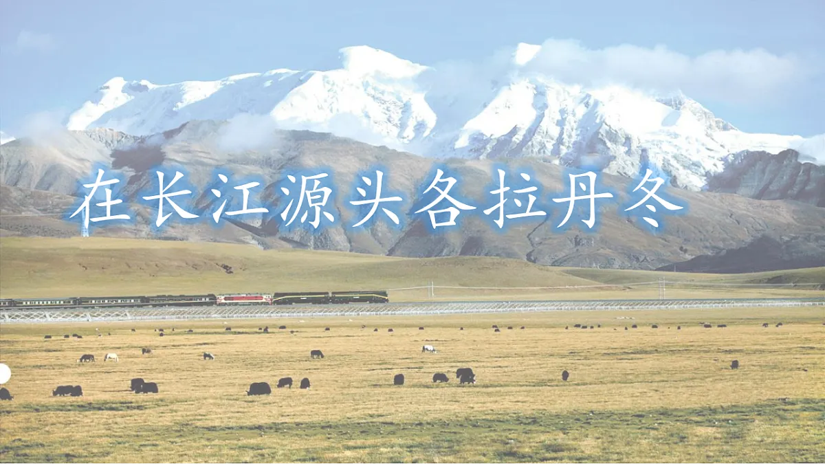 17969708第1页