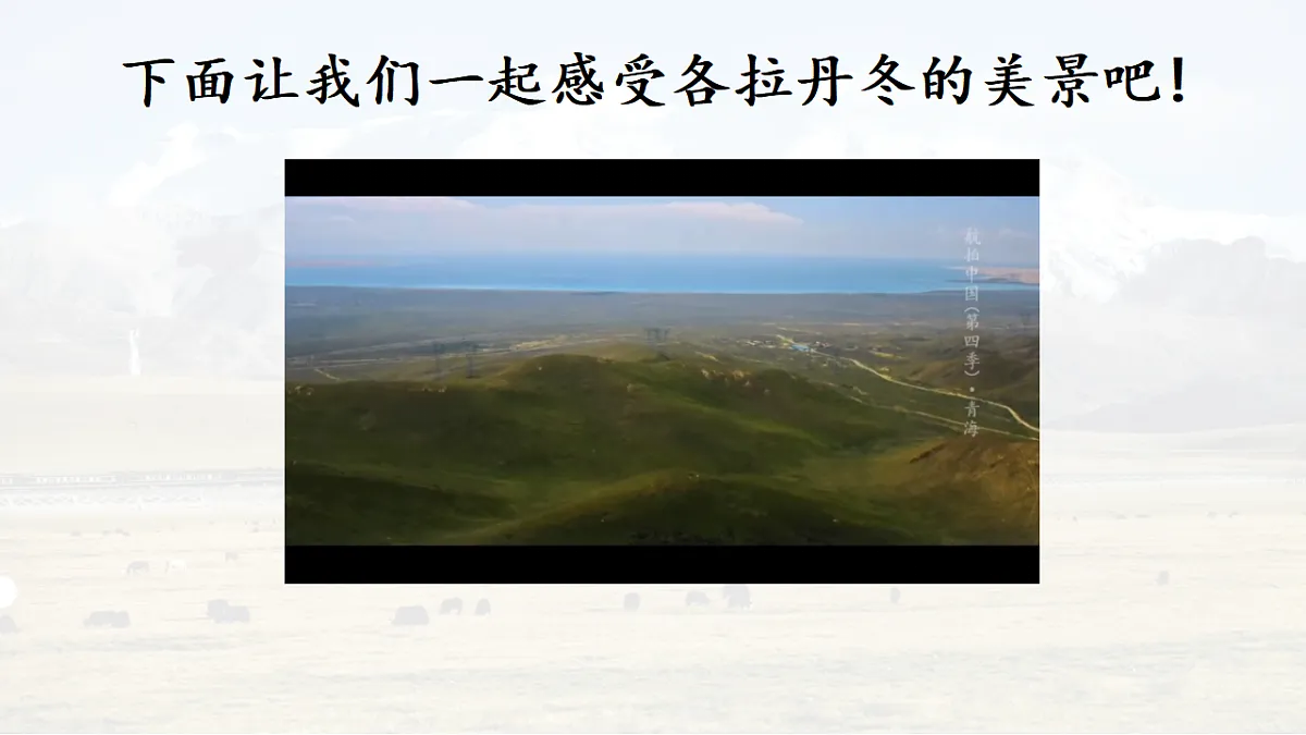 17969708第3页