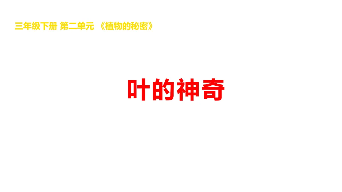 17969813第1页