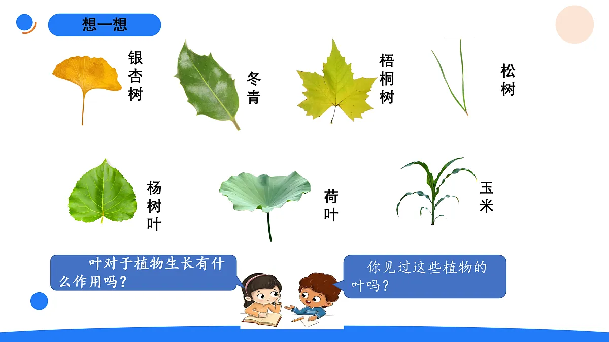 17969813第2页