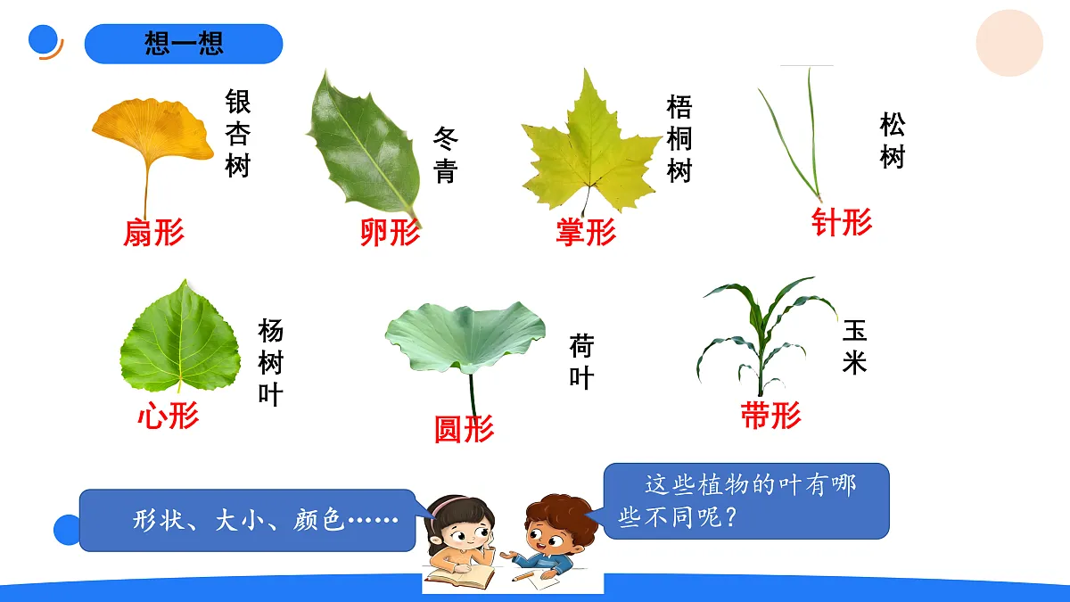 17969813第3页