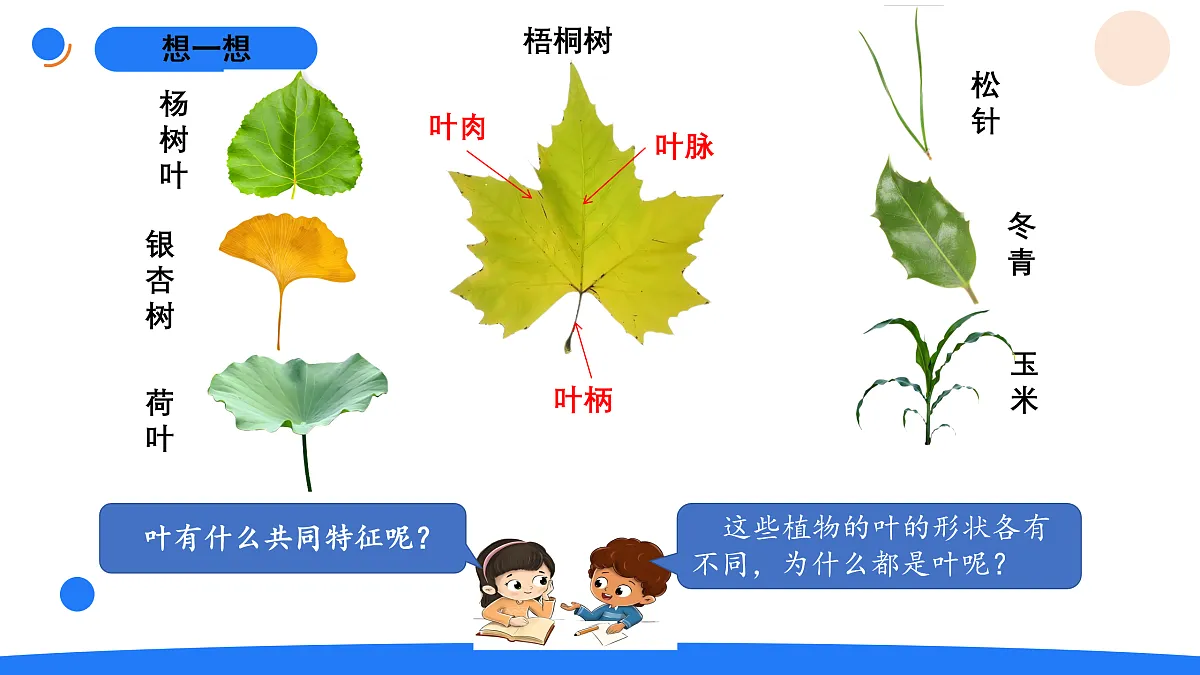 17969813第4页