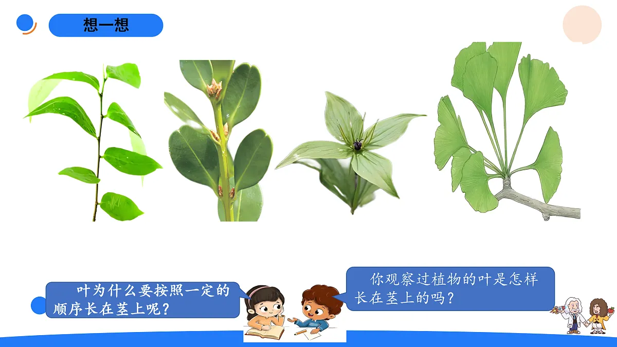 17969813第5页