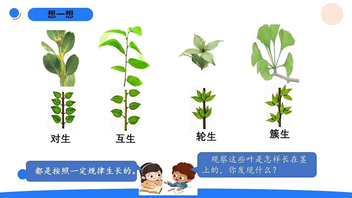 17969813第6页