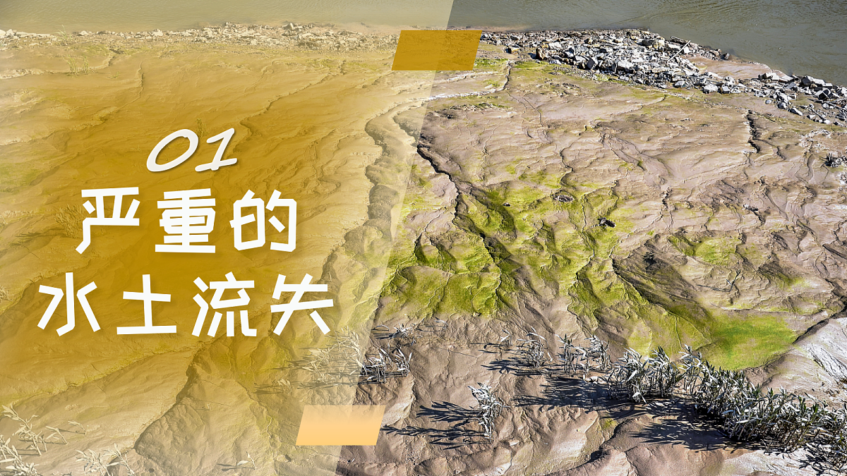 【课件】7.3.2世界上最大的黄土堆积区——黄土高原——2026年新教材人教版初二地理下册第6页