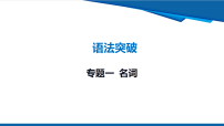九年级中考英语二轮复习专题一 名词课件