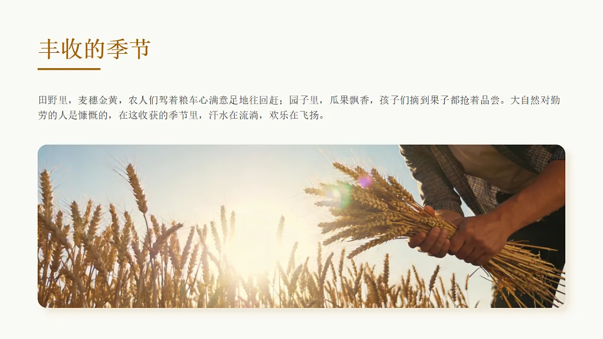 劳作与丰收第3页
