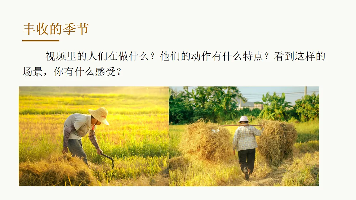 劳作与丰收第5页