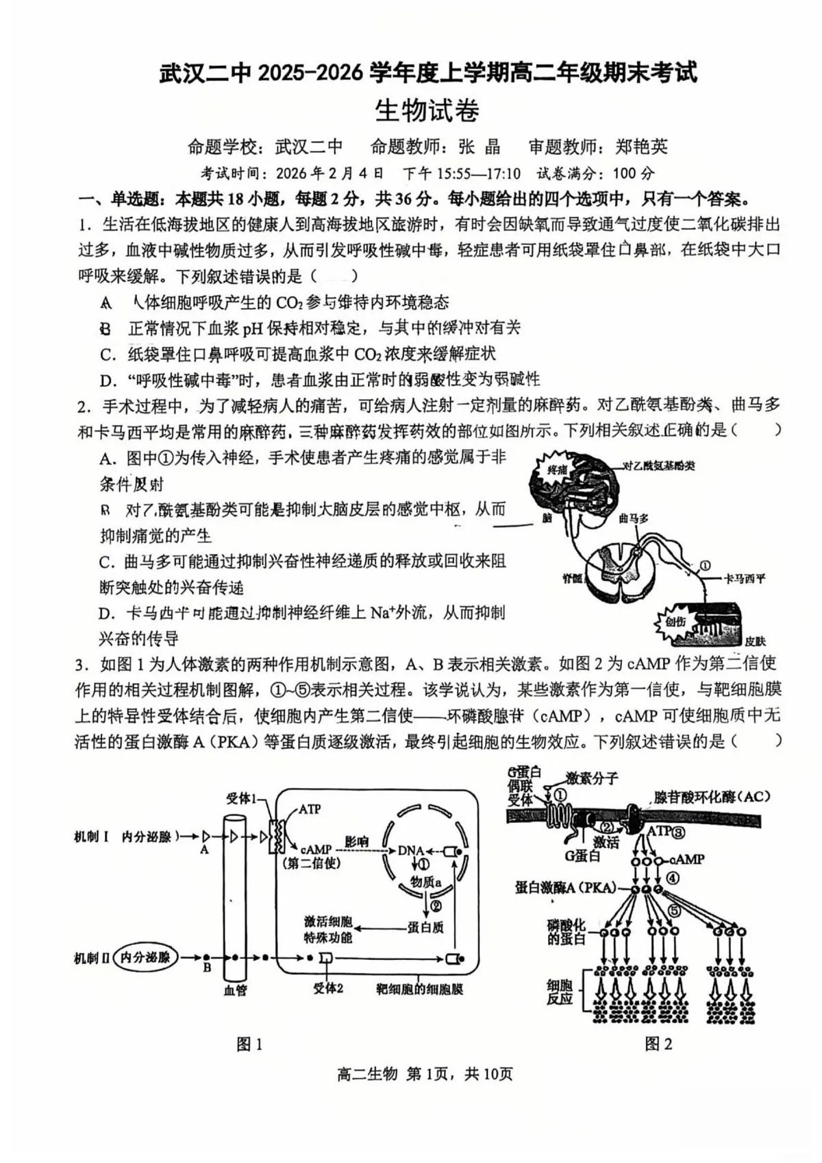 湖北武汉二中2025-2026学年度上学期高二年级期末考试生物试卷第1页