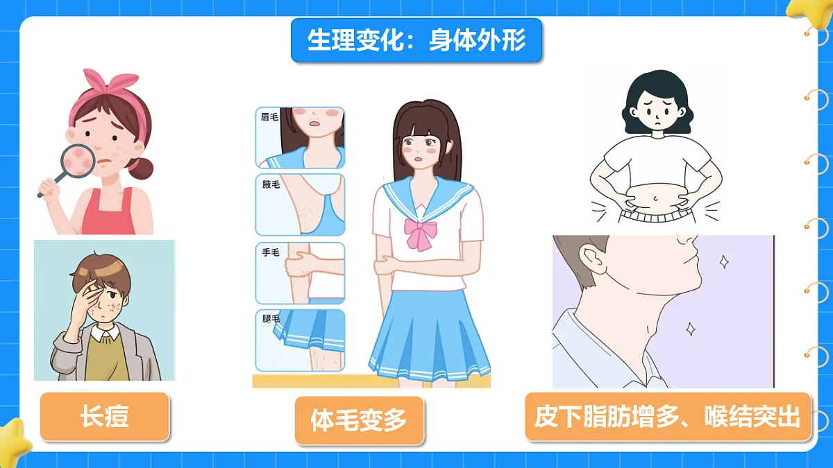 17974497第7页