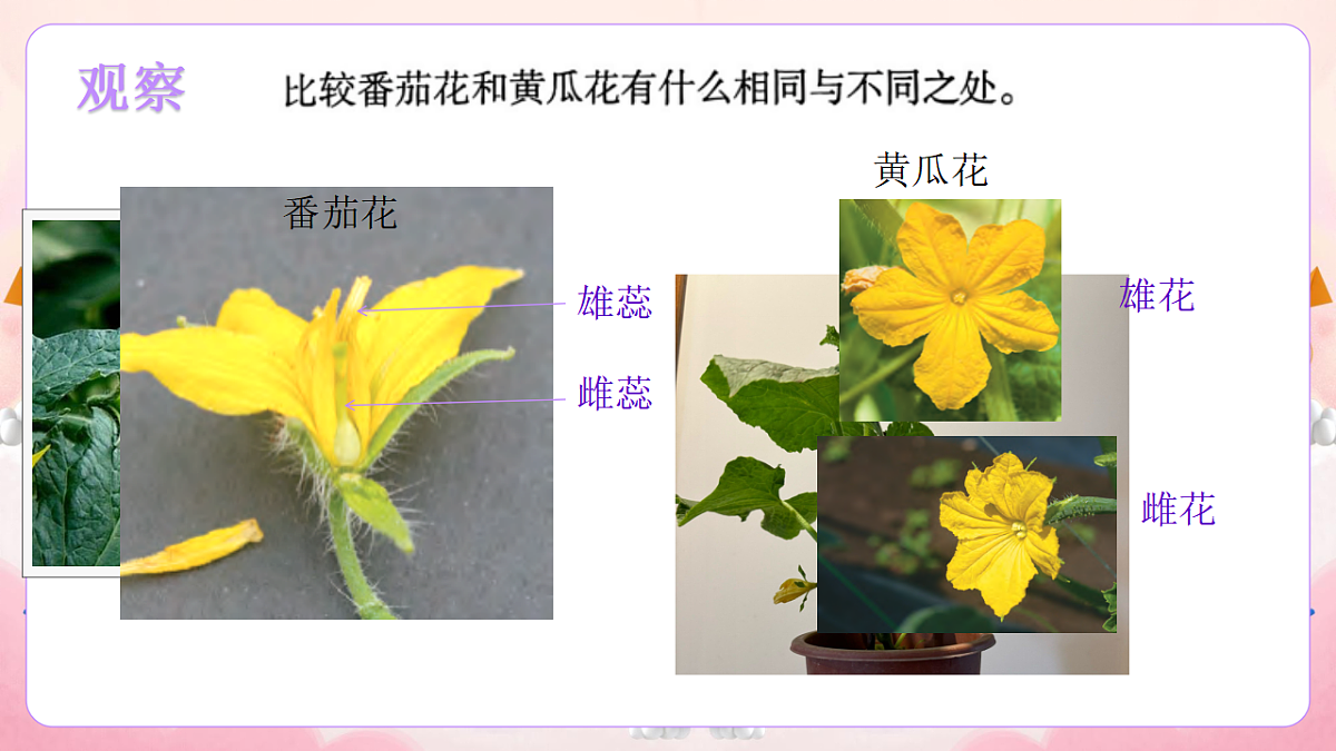17974536第2页