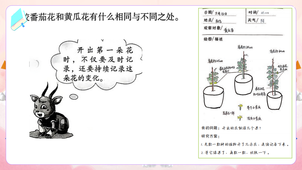 17974536第3页