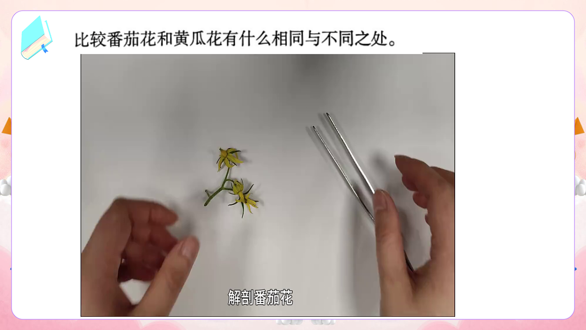 17974536第4页