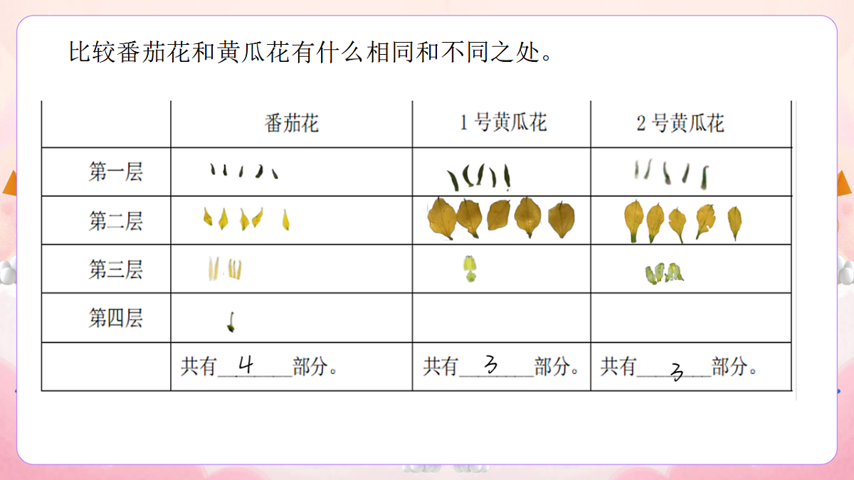 17974536第5页