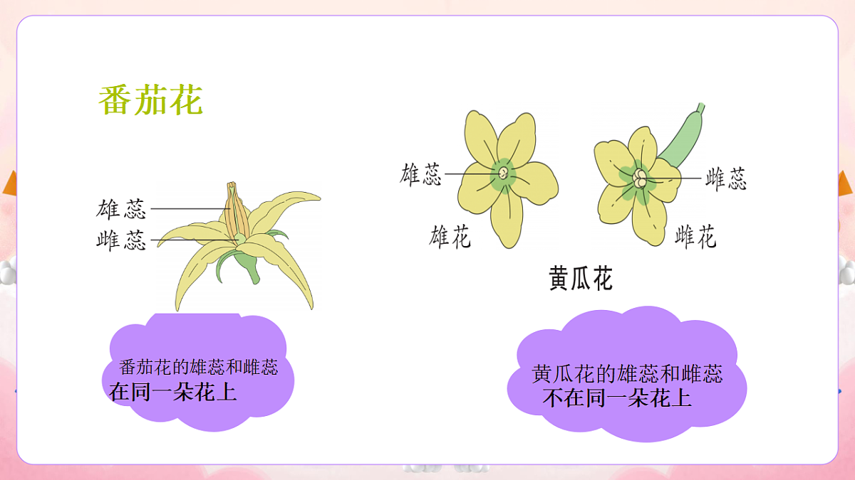 17974536第6页