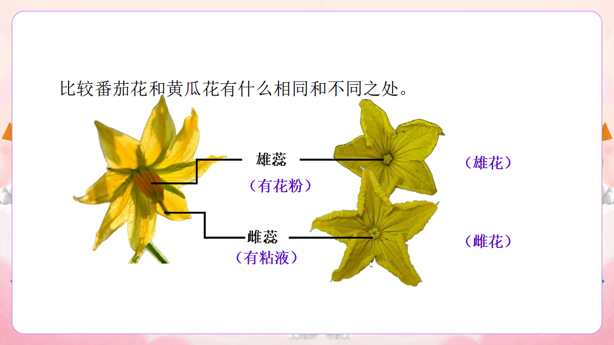17974536第7页