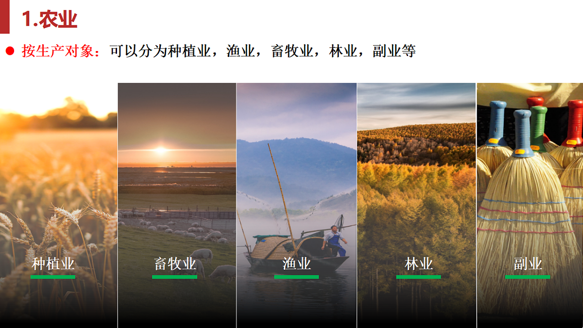 17974637第5页