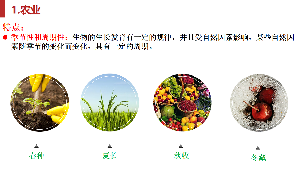 17974637第7页