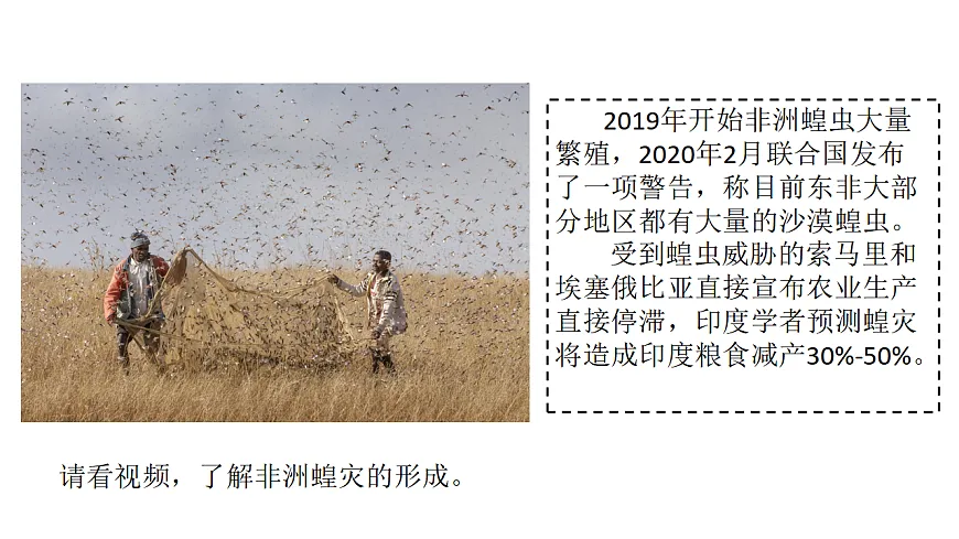 17974645第2页