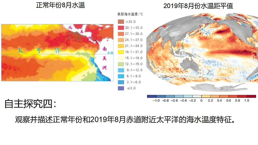 17974645第8页