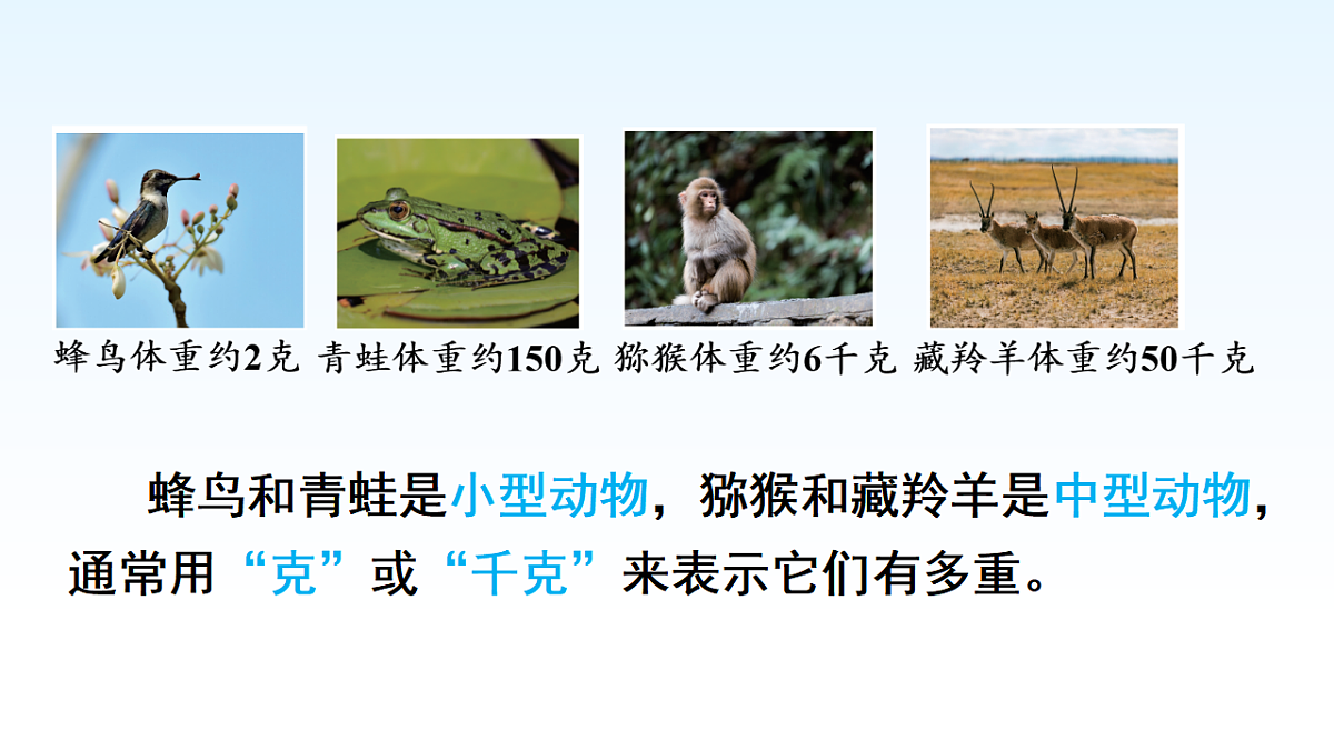 17974705第2页