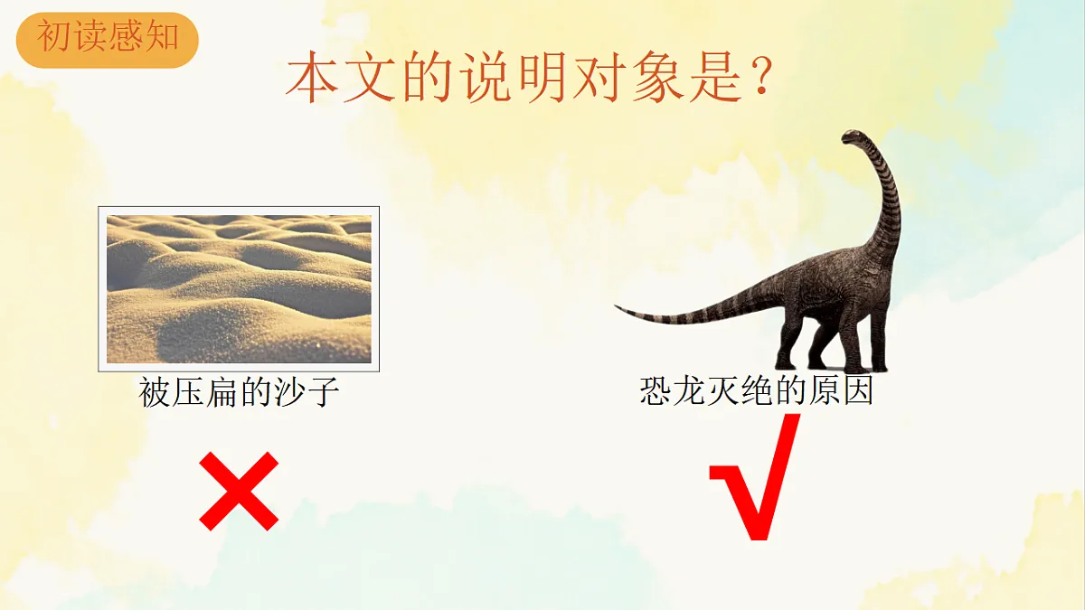 17975507第2页