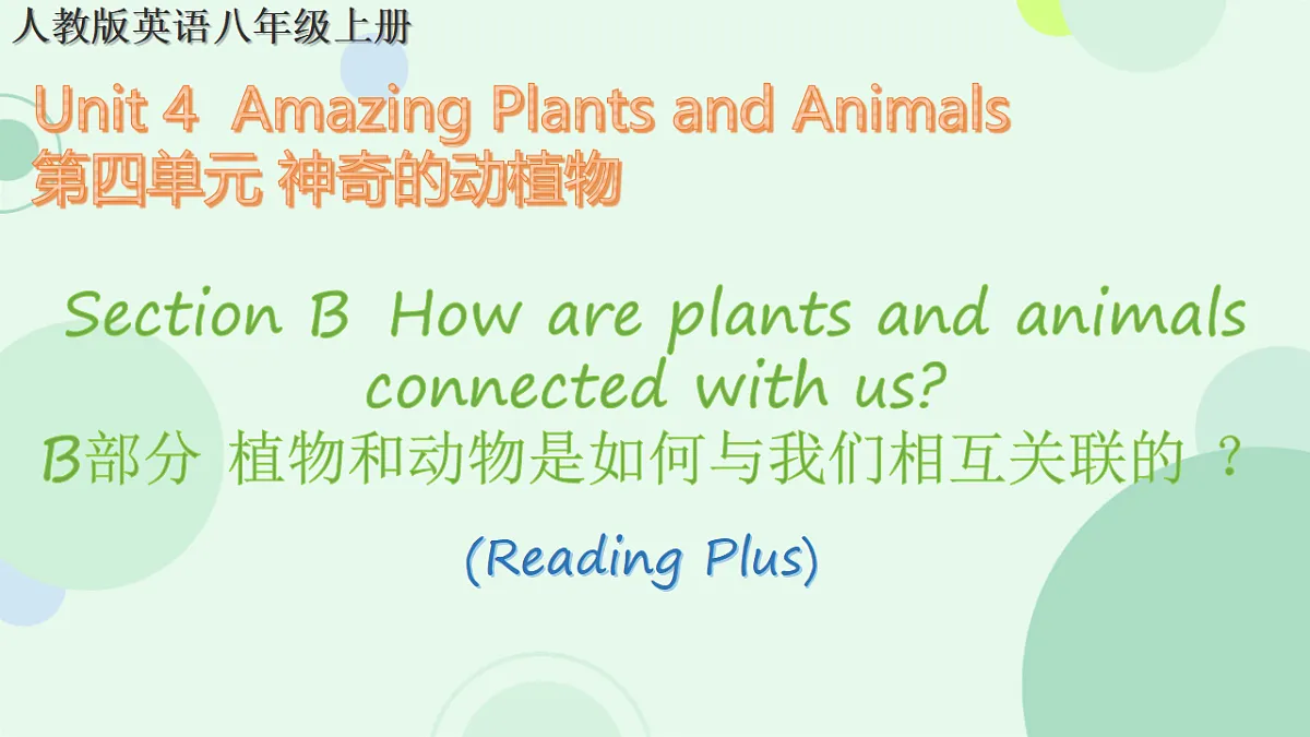 17975892第1页