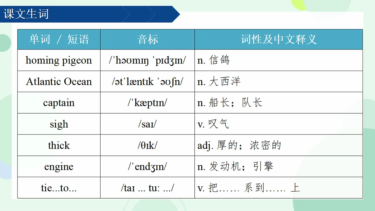 17975892第2页